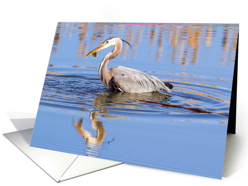 Great Blue Heron with fish card (1152340)