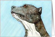 Sympathy Loss of Pet Blue Nose Pit Bull Terrier Canine Dog card