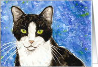 Pet Sympathy Loss Black and White Tuxedo Cat Painting card