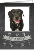 Black Lab Chalkboard Birthday Card