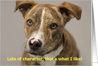 Dog with Character by Focus for a Cause card
