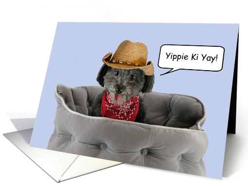 Pom-a-Poo Dog with Cowboy Hat Birthday card, Focus for a Cause card