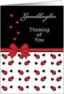 For Granddaughter Cute Red & Black Ladybug Hearts Thinking of You Car card