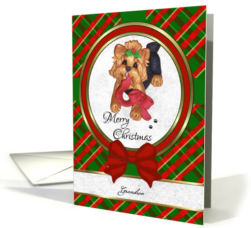 For Grandson - Cute Yorkie Art Merry Christmas card (1339850)