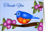 Thank You, Bluebird on Flowering Tree Branch, Blank card