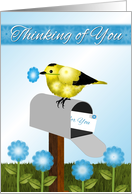 Thinking of You, Aunt, Black and Yellow Bird (Goldfinch) on Maibox, card