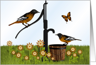 Baltimore Oriole Birds and Pump, Blank Note card