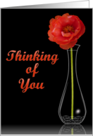 Thinking of You- Single Orange Flower in Vase card