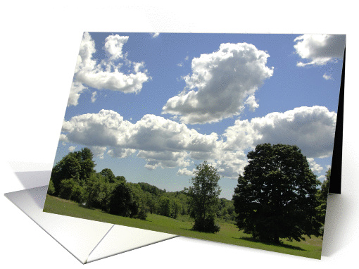 Perfect Summer Day card (950533)