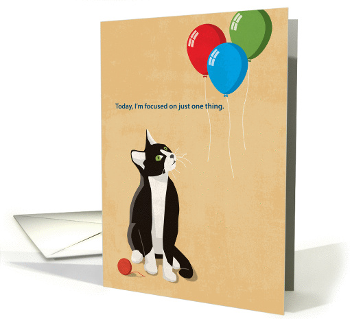 Cat Staring Up At Three Balloons, Happy Birthday card (1214556)