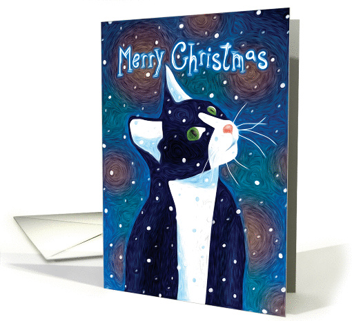 Black & White Cat Watching Snow Fall, Merry Christmas card (1405444)