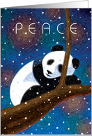 Giant Panda Sleeping on Branch, Merry Christmas card