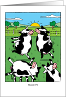Funny Birthday Cows Dancing Mosh Pit Pun card