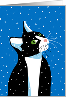 Merry Christmas, White and Black Cat Watching Snowflakes card