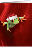 Yule Frogs Christmas Card