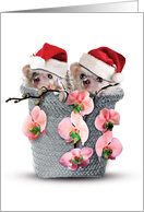 Holiday Cards from the Hedge Christmas Card - Flower Basket card