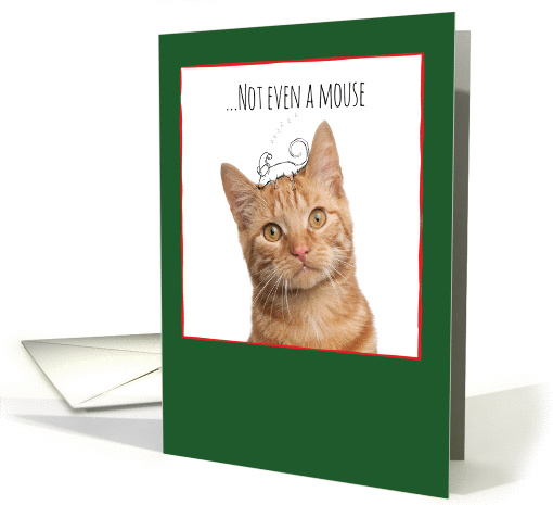 Christmas Cats, Sleeping Mouse & Doodles card (1458526)