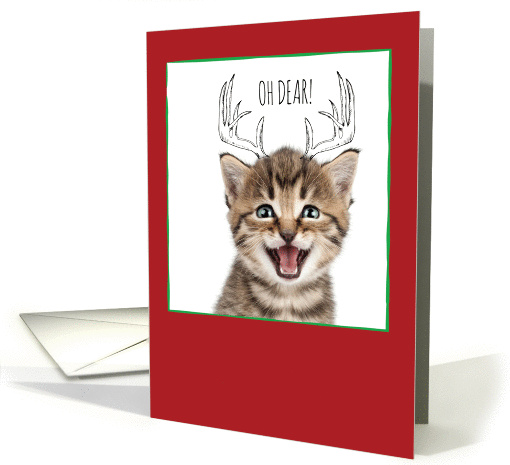 Christmas Cats & Reindeer Doodles card (1458530)