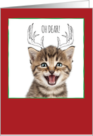 Christmas Cats & Reindeer Doodles card