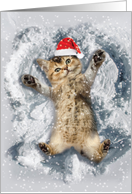 Critter Snow Angel Featuring a Cute and Cuddly Kitten for Christmas card