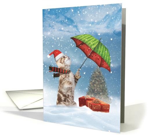 Cat Christmas Humor Greeting Card Featuring Umbrella... (1543596)