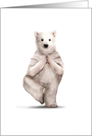 Zoo Yoga Creative Thank You Featuring a Polar Bear Striking a Pose card