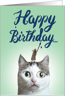 Birthday Cat Sent Greetings Featuring Wide Eyed Cat Searching for a Mouse card