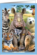 Here’s Looking At Zoo Get Well Greeting Card From All of Us card