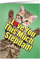 Cat Love You This Much Stepdad Father’s Day Card