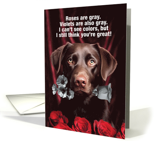 Dog Colors Valentine's Day card (1820982)