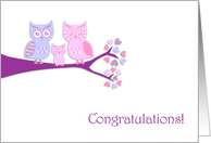 Congratulations On Your New Baby Girl Cute Owls card