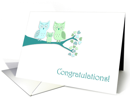 Congratulations On Your New Baby Boy Cute Owls card (1075870)