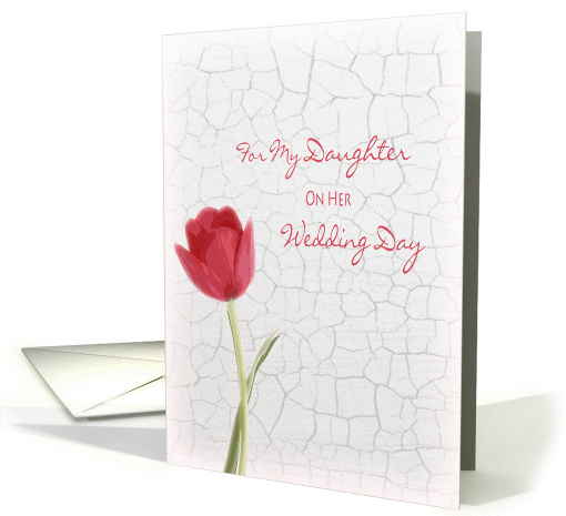 For My Daughter On Her Wedding Day - Red Tulip on White... (1098980)