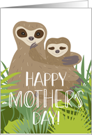 Happy Mother’s Day, Cute Sloth Mom and Baby card