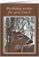 Birthday Wishes for Coach, Deer, whitetail buck card
