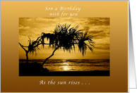 Son a Birthday Wish , As The Sun Rises, Palm Tree, Happy Birthday card