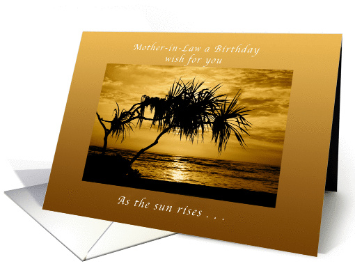 Mother-in-Law Birthday Wish , As The Sun Rises, Palm Tree card