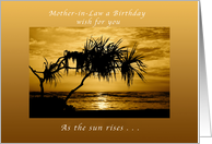 Mother-in-Law Birthday Wish , As The Sun Rises, Palm Tree card