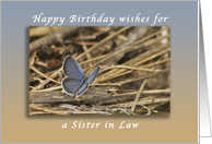 Happy Birthday Wishes for a Sister in Law, Blue Butterfly card