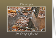 Thank You for being a Friend, Two Deer card