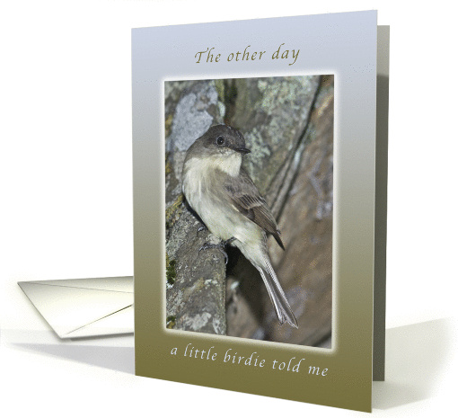 A Little Birdie Said it was Your Birthday, Happy Birthday, bird card