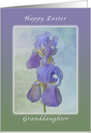 Happy Easter Granddaughter, Light Purple Iris card