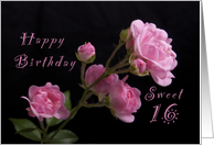 Happy Birthday, Sweet 16, Pink Roses card