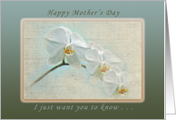 Happy Mother’s Day, Mom Faded Floral Series, White Orchid card