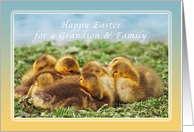 Happy Easter Wishes for a Grandson and Family, Baby Geese card