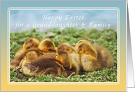 Happy Easter Wishes for a Granddaughter & Family, Baby Geese card