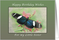 Happy Birthday Wishes, for my Little Sister, Butterfly card