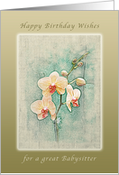 Happy Birthday Wishes,for a Great Babysitter, Peach Orchids card