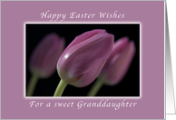 Happy Easter Wishes, for Granddaughter, Pink Tulips card