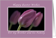 Happy Easter Wishes, for My Brother and His Family, Pink Tulips card